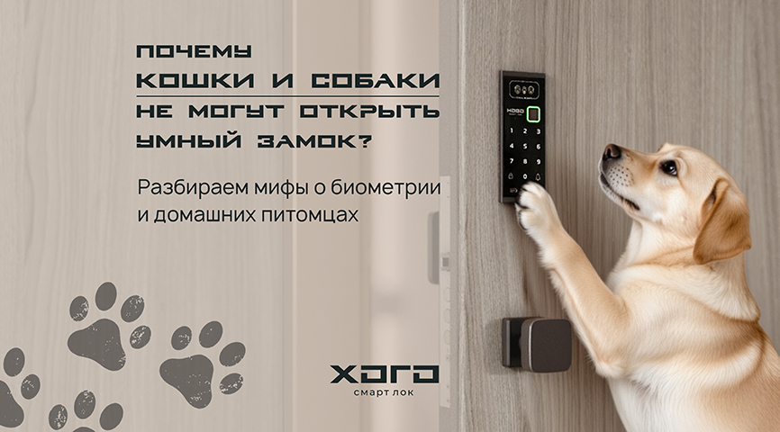 Почему кошки и собаки не могут открыть умный замок? Разбираем мифы о биометрии и домашних питомцах
